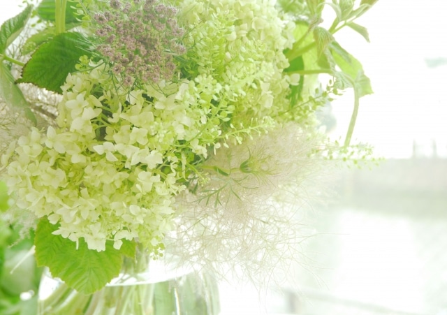 緑の白い花