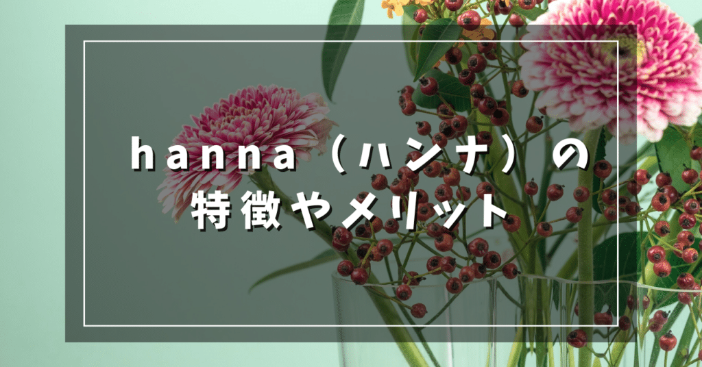 hanna（ハンナ）の特徴やメリット